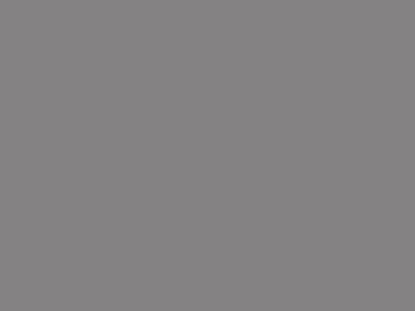 SLATE GREY 0171 ULTRA MATT